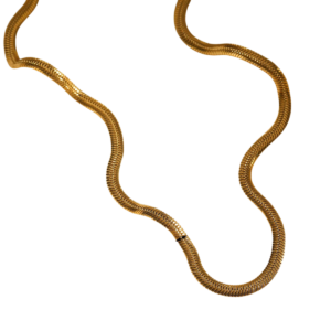 Collar Sleek Serpent